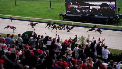 'A special buzz': fans farewell racing at dog track