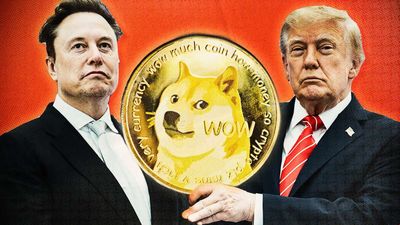 DOGE Worked? Only If You Grade on a Curve.