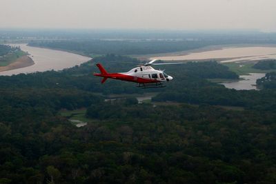 Brazil says Amazon deforestation fell to the lowest level since 1988