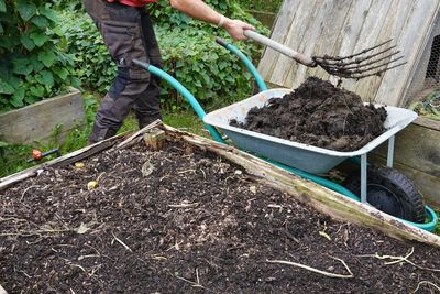 Why Fresh Manure Should Not Go Straight Into Fall Beds