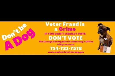 She registered her dog to vote in California. Her punishment is one she will remember ‘furever’