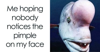 76 Relatable Female Memes That Prove We’re All Just Trying To Figure Life Out