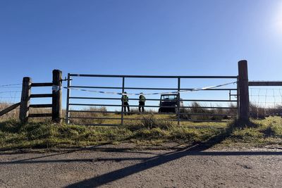 Boy aged 16 and 80-year-old man killed in light aircraft crash