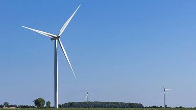 Radar Shutdowns Cut Bird Deaths: studies back selective turbine stops; downtime stays minimal