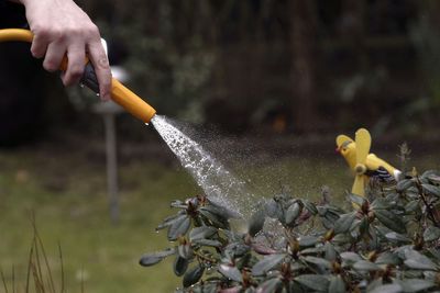 Thames Water issues hosepipe ban update as Londoners urged to make eight changes
