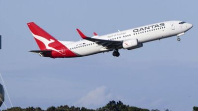 Australia-bound Qantas flight cancelled after bedbugs found on economy seats