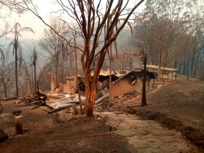 Most NSW homes destroyed in black summer bushfires were within 100 metres of vegetation