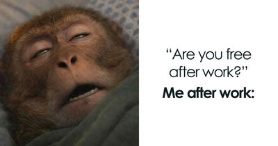 83 Memes That Are Funny Because People Find Them A Little Too Accurate To Their Lives