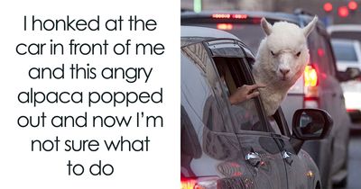 62 Absolutely Random Yet Funny Memes About Everything In This World, To Make Your Day