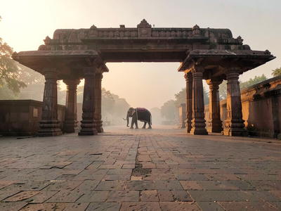 Elephants and Horses at Mysore Dasara: Load, Heat and Rest