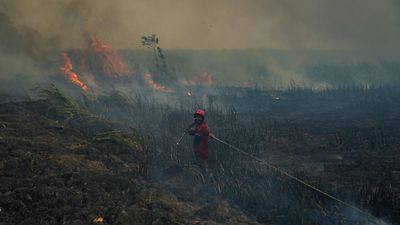 Months-long Indonesia wildfires spew toxic haze across Southeast Asia
