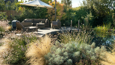 Buckinghamshire wildlife garden features a natural pond with frogs and bats
