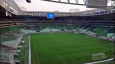 Fifa Fan Award 2019: Brazilian mother narrates Palmeiras games for blind son; story highlights inclusion