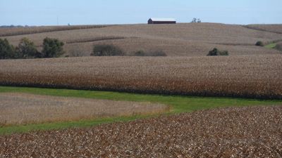 Appeals Court Upholds Farmland Transfer: Iowa panel finds no undue influence; case underscores estate records