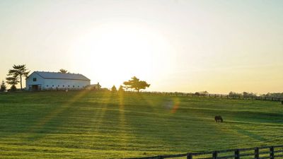 Appeals Court Blocks Farm Sale: Kentucky panel grants Doug Peterson control; Joey gets $50,000
