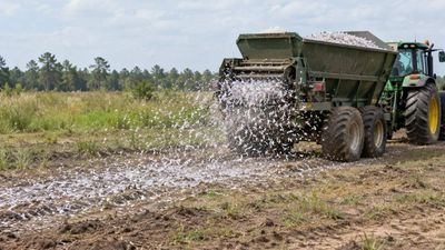 Paper Waste Boosts Plant Cover: US study tests shredded amendment; Army eyes cheaper land rehab