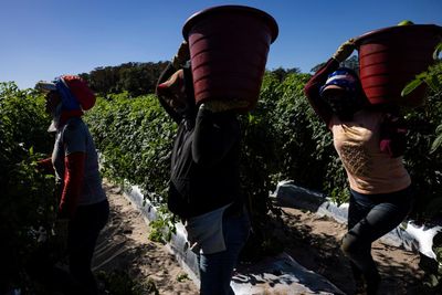 US workers facing deadly heat embrace tactic that targets major brands’ reputations