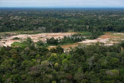 Criminal networks threaten the Amazon. Indigenous leaders want the UN to act
