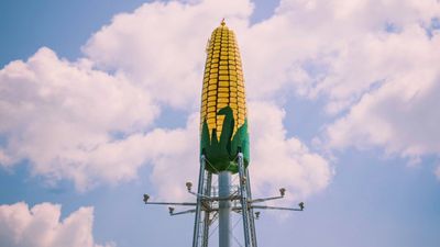 Mystery 11-Foot Object Has Turned Up in a Minnesota Cornfield and Is 'Presumably a Space Object'