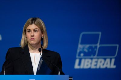 ‘Not our friends’: Victorian Coalition warns Advance’s ‘bizarre’ AI campaign may cost it majority government