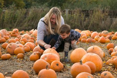 Why the UK is facing a pumpkin shortage this Halloween