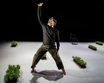 Dance Is Not for Us review – desire and defiance as one revolutionary mover sweats it all out