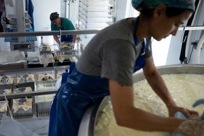 Raw Cheddar From Family Farmstead Dairy Recalled in Seven States After Maryland Testing Finds Two E. coli Strains