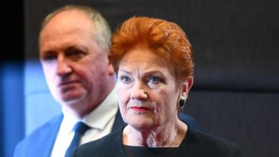'Lighten up': Hanson to senator over vulgar cartoon