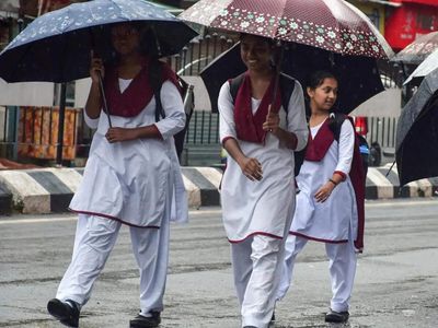 Tamil Nadu weather: Heavy rain lashes Chennai, Karaikal; are schools and colleges closed today on October 19?