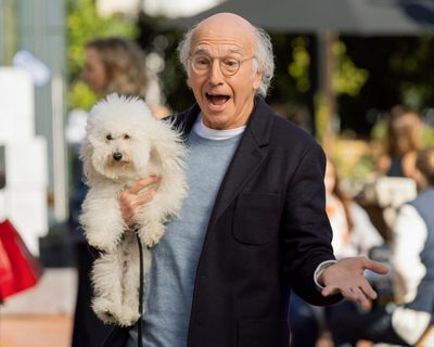 Emperor of Nothing by Blake J Harris review – the definitive portrait of Larry David