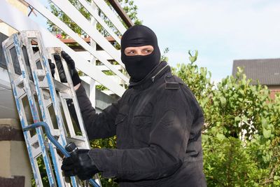 Eight expert tips on how to stop garden thieves this autumn