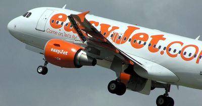 Scottish easyJet flight forced to divert after take off following bird strike