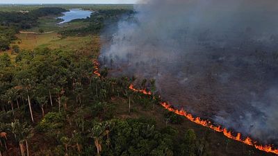 Amazon deforestation hits record low in Brazil, but El Niño and a tight election threaten progress