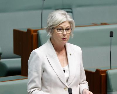 ‘Deeply appalled’: politicians condemn alleged attack after independent MP Helen Haines critically injured