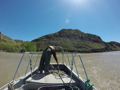 Montana removed non-native brook trout and repaired mining-damaged White's Creek; the struggling native cutthroat trout population then grew at least sevenfold