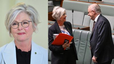 Australian MP critically injured after car hits her outside office; driver held