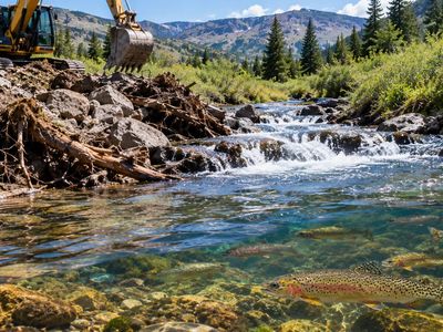 Wyoming reopened a blocked stream and cut non-native brook trout by 97%; native Snake River cutthroat trout then jumped more than 14-fold in just 3 years