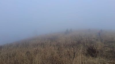 Mother leaves children on Poland mountain trail for 'whining', hikes to summit alone