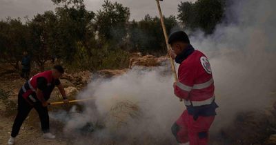 10 arrested after Israeli settlers attack journalist and diplomats