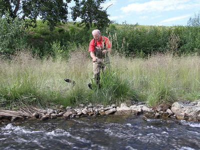Connecticut began clearing an invasive reed from Highstead Pond in 2012; 98% was killed, and by 2017 native plant richness around the pond had increased 39%