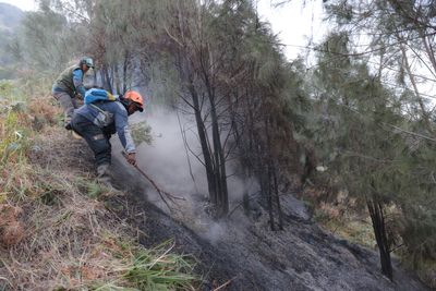 Singapore expands crackdown on Indonesian companies linked to haze