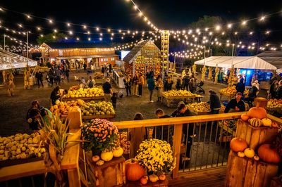 Halloween 2026: The best pumpkin patches in and around London to visit this October