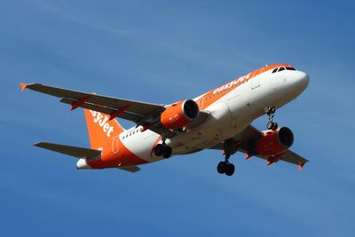 EasyJet passengers finish journey by coach after bird strike