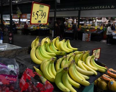 Tricky time for lunchboxes: banana shortage hits supermarket shelves after cool weather in Queensland