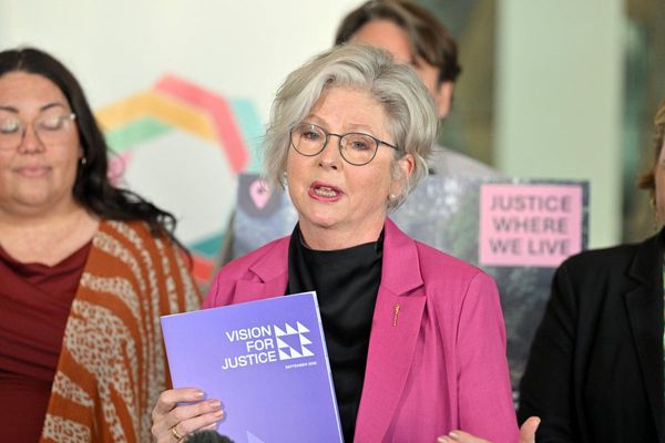 Who is Helen Haines? Australian MP in critical condition after car attack