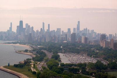 More than 1,000 birds injured or killed over the weekend in Chicago after flying into buildings