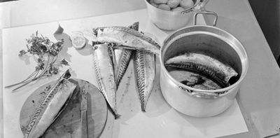 Kipper cream or fish in custard? A century of magazine recipes reveals how Britain’s seafood tastes have narrowed