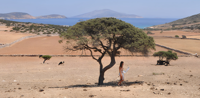 Phoebe Giannisi’s eco-poetry challenges the idea that humans are separate from nature