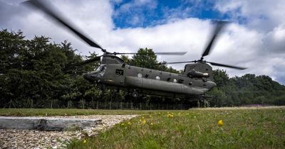 Low-flying Chinook 'caused Fife farm animal to collapse'