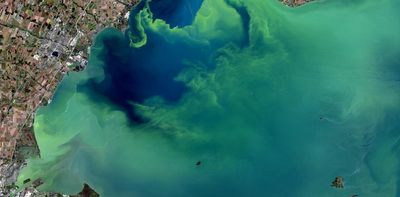 Tackling Lake Erie’s algal blooms requires targeted conservation strategies